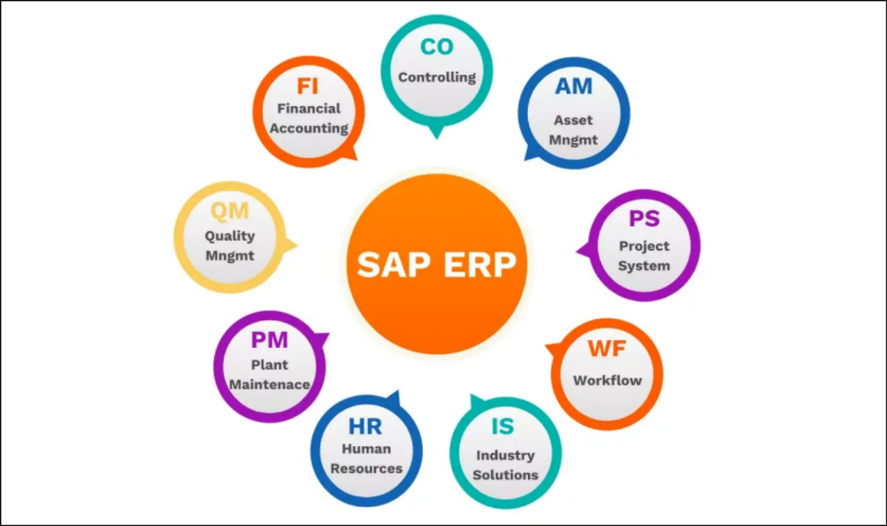 A Quick Look at SAP and Its Utility